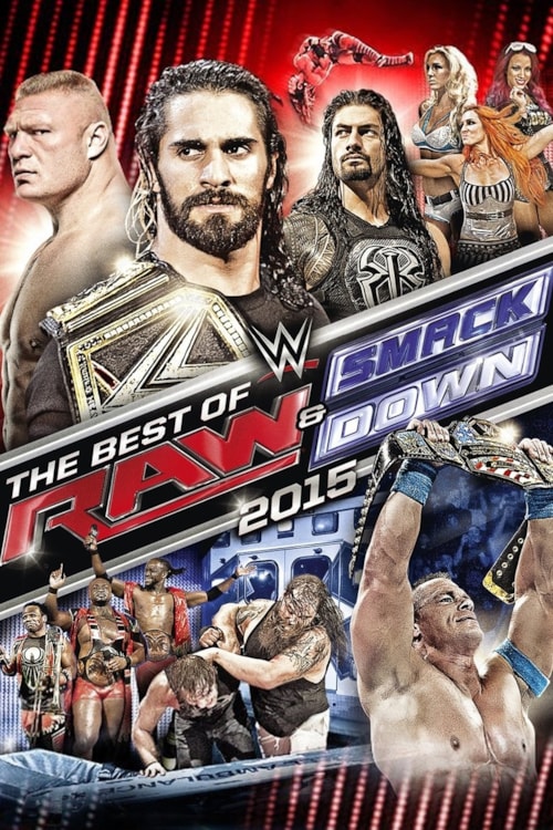 WWE The Best of Raw & SmackDown 2015 poster